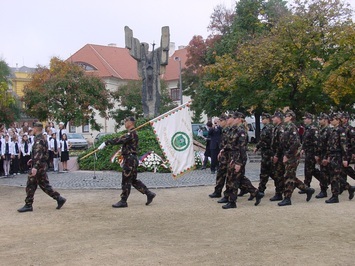 Koszorzs Szkesfehrvrott